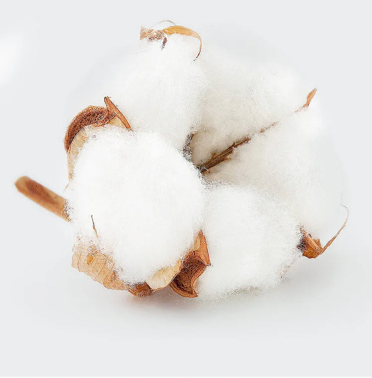 Talk To God T-Shirt – Faith-Inspired Casual Tee