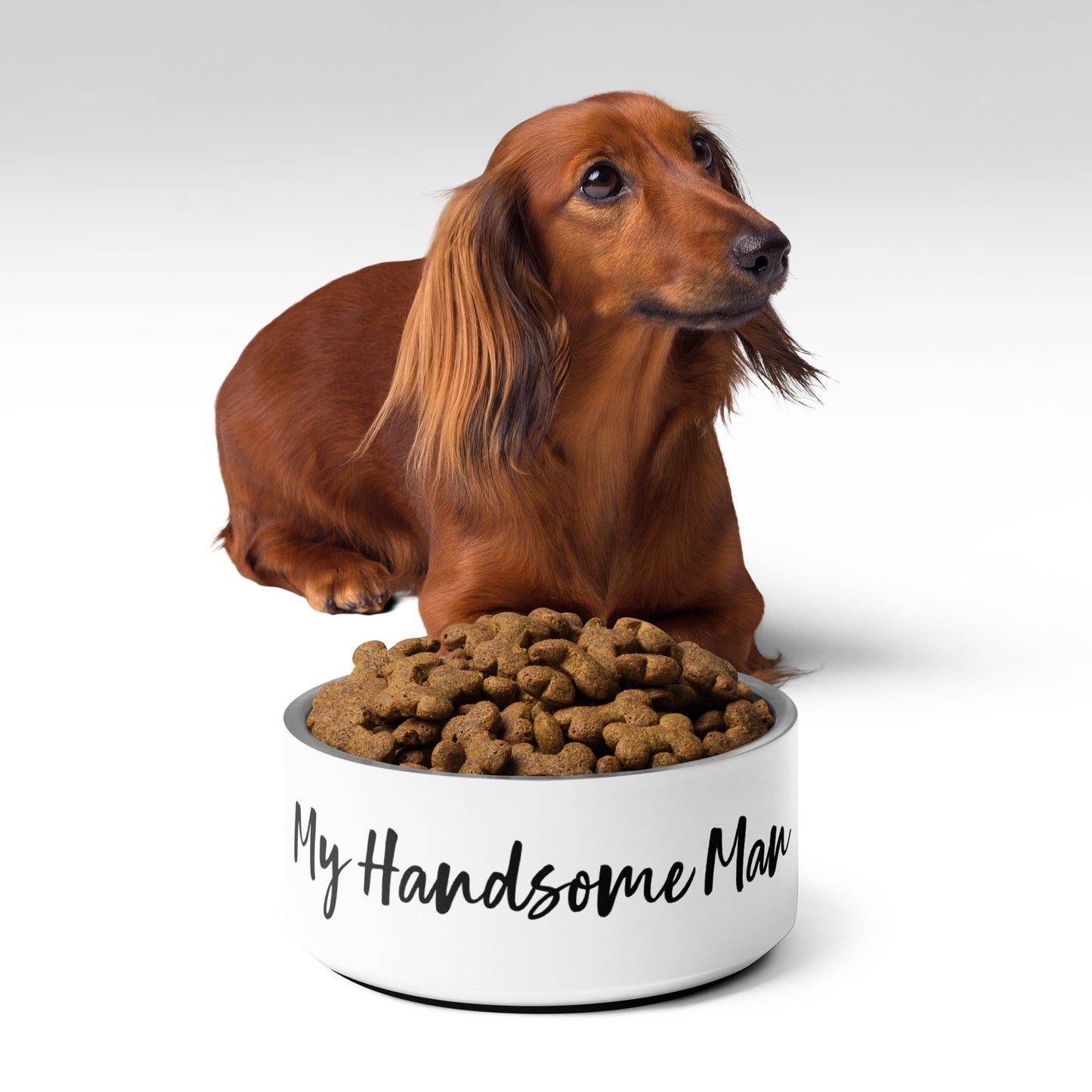 Handsome Man Pet bowl